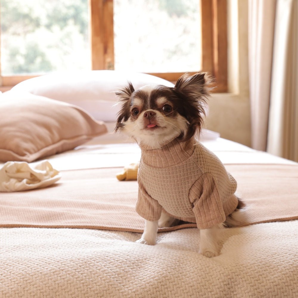 milletpets-dog-cotton-cashmere-turtleneck-sweater-khaki-live