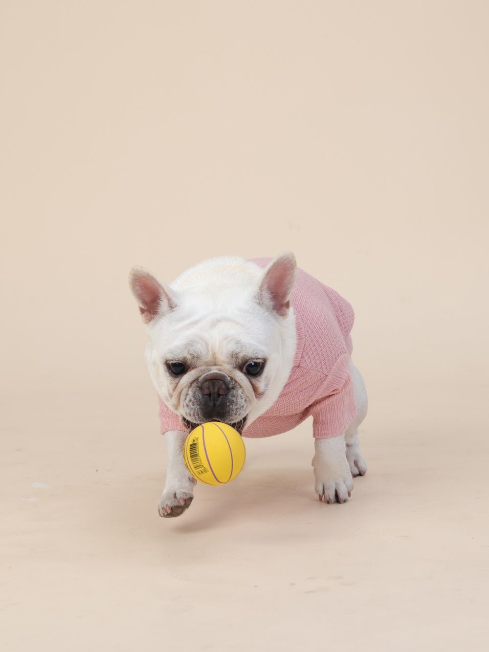 milletpets-dog-cotton-cashmere-turtleneck-sweater-pink-frenchbulldog