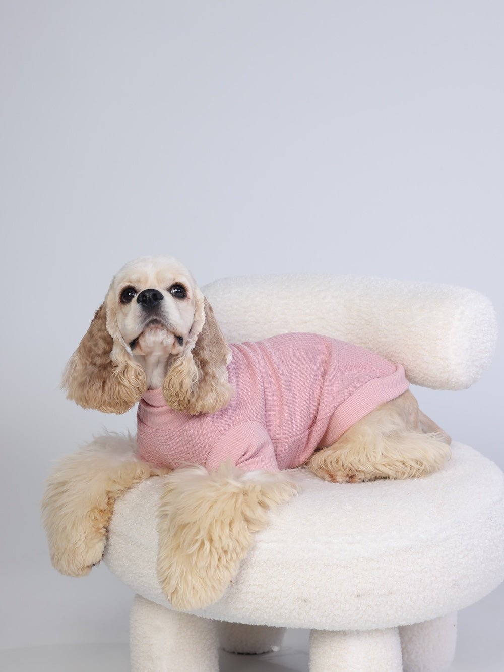 milletpets-dog-cotton-cashmere-turtleneck-sweater-pink-live-2