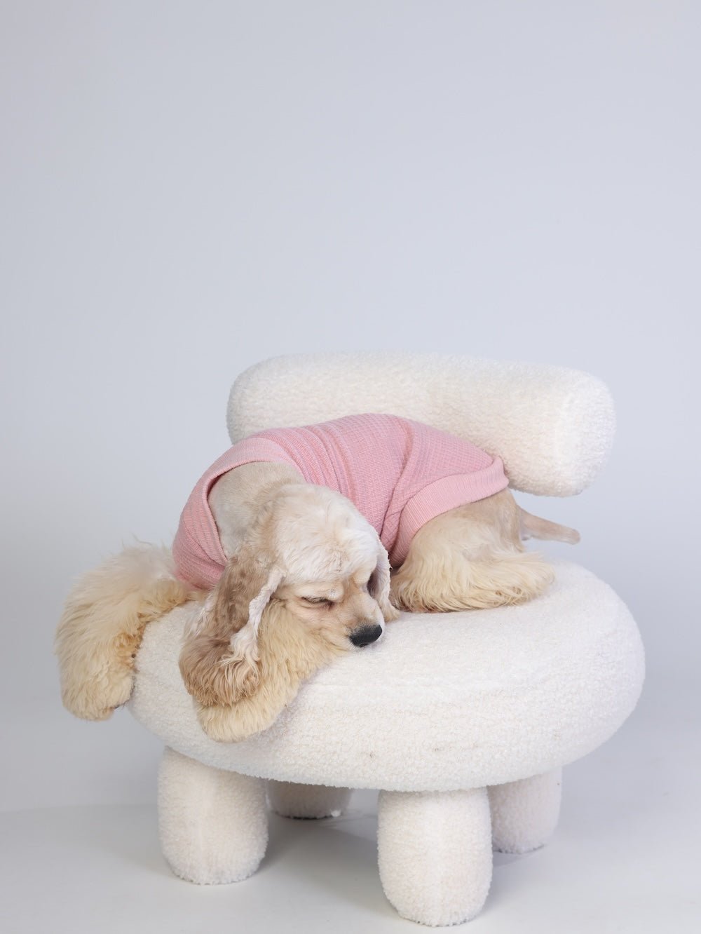 milletpets-dog-cotton-cashmere-turtleneck-sweater-pink-live