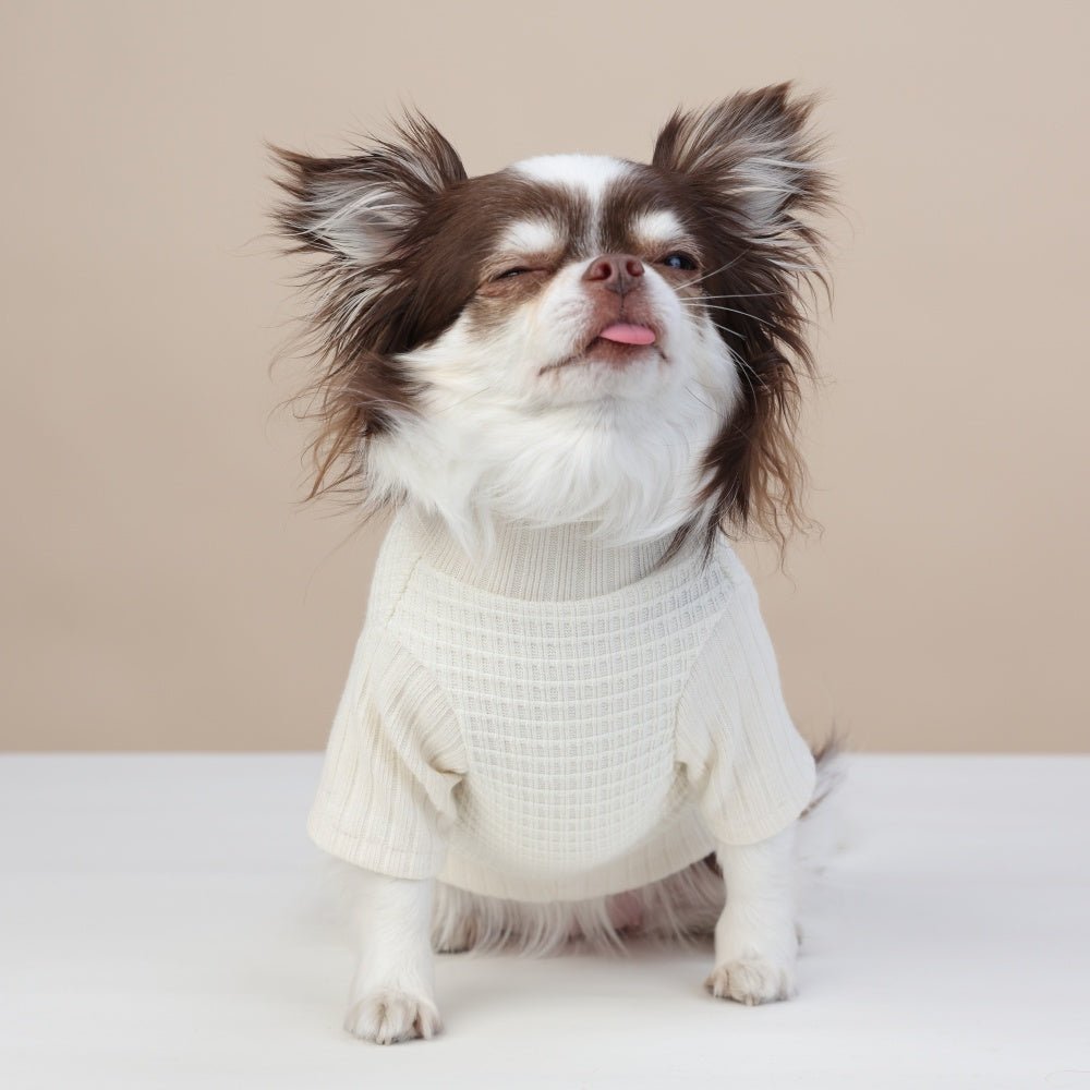 milletpets-dog-cotton-cashmere-turtleneck-sweater-white-front
