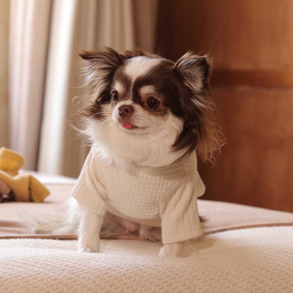 milletpets-dog-cotton-cashmere-turtleneck-sweater-white-live-2