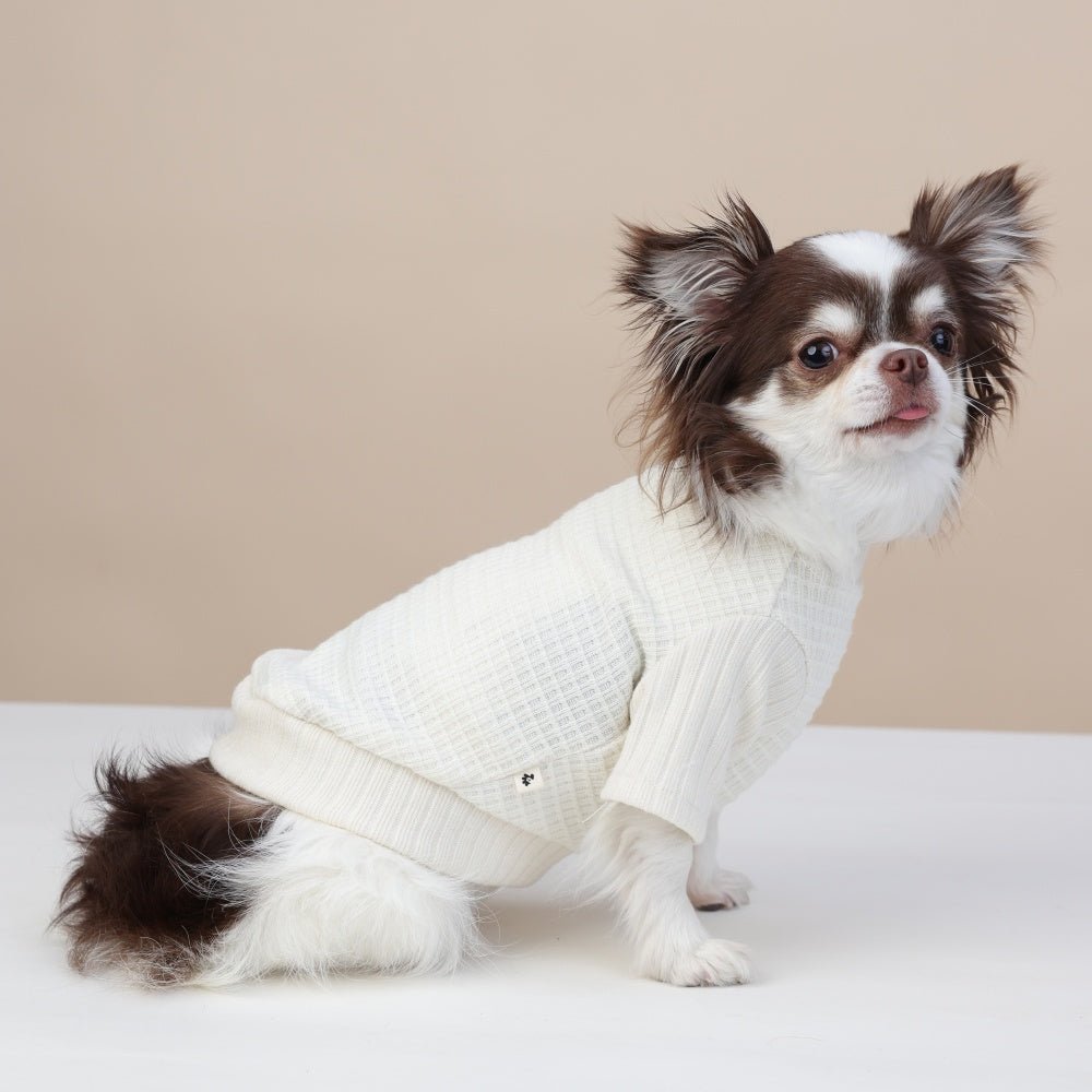 milletpets-dog-cotton-cashmere-turtleneck-sweater-white-side