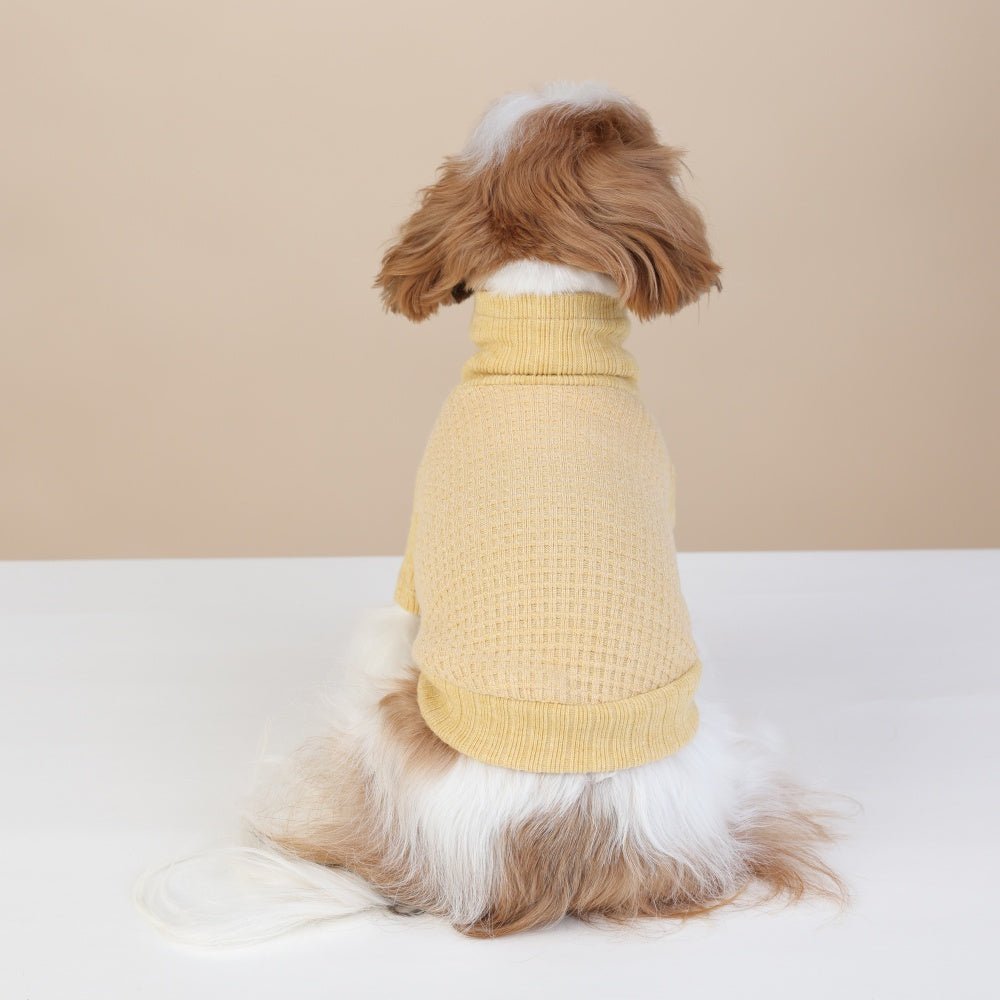 milletpets-dog-cotton-cashmere-turtleneck-sweater-yellow-back