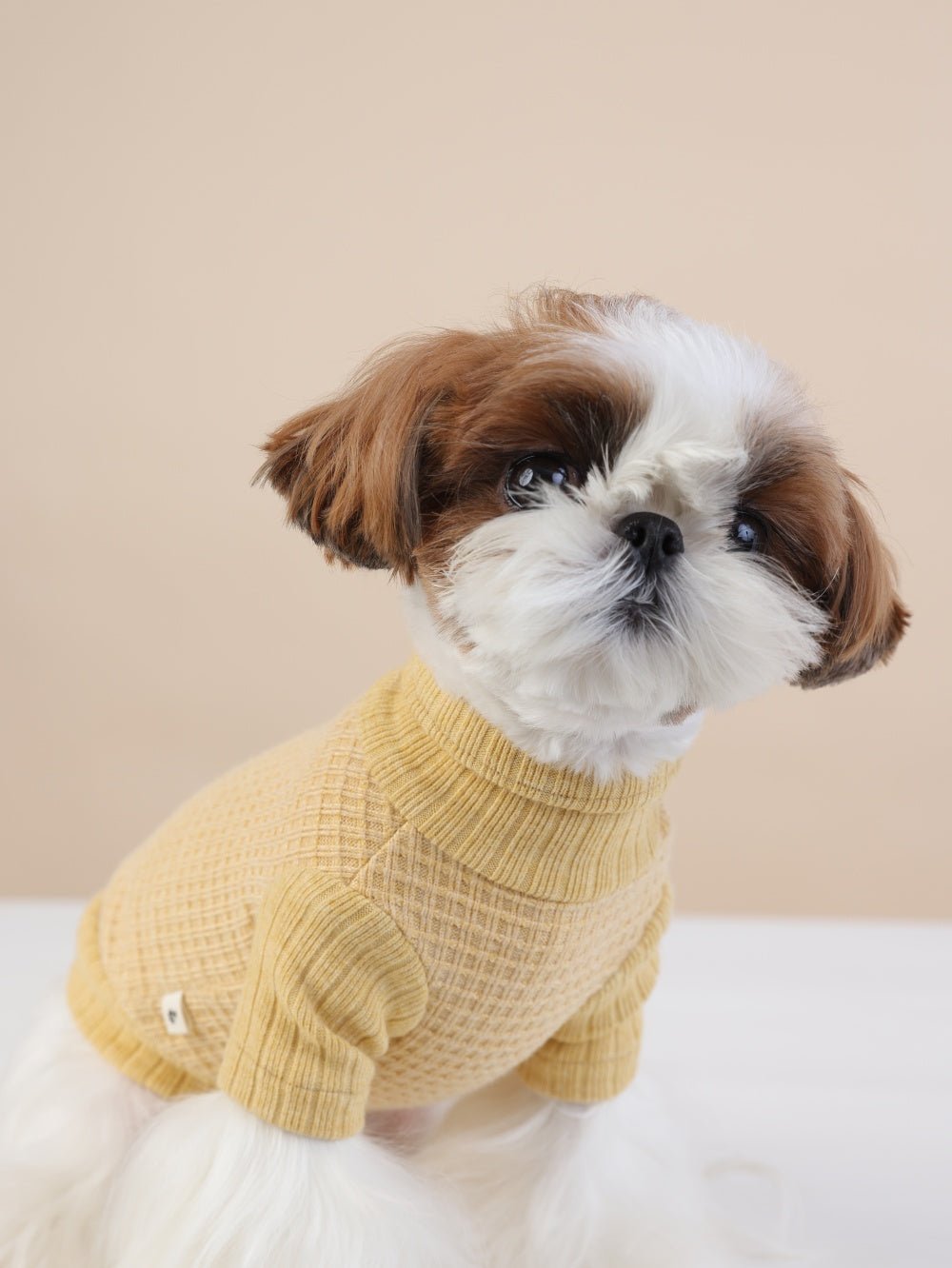 milletpets-dog-cotton-cashmere-turtleneck-sweater-yellow-zoomin