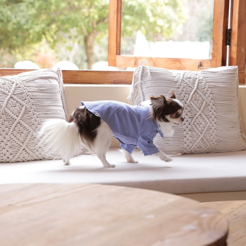 milletpets-dog-cotton-houndstooth-shirt-live-2