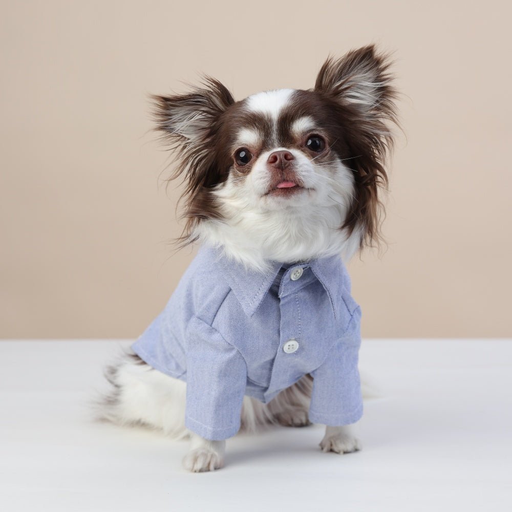 milletpets-dog-cotton-oxford-shirt-front