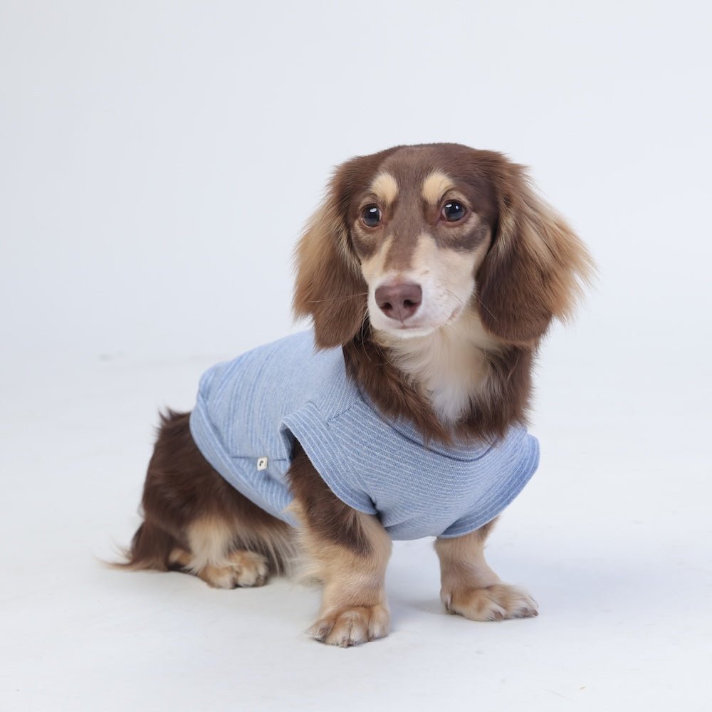 milletpets-dog-cotton-tank-top-vest-baby-blue-front-2