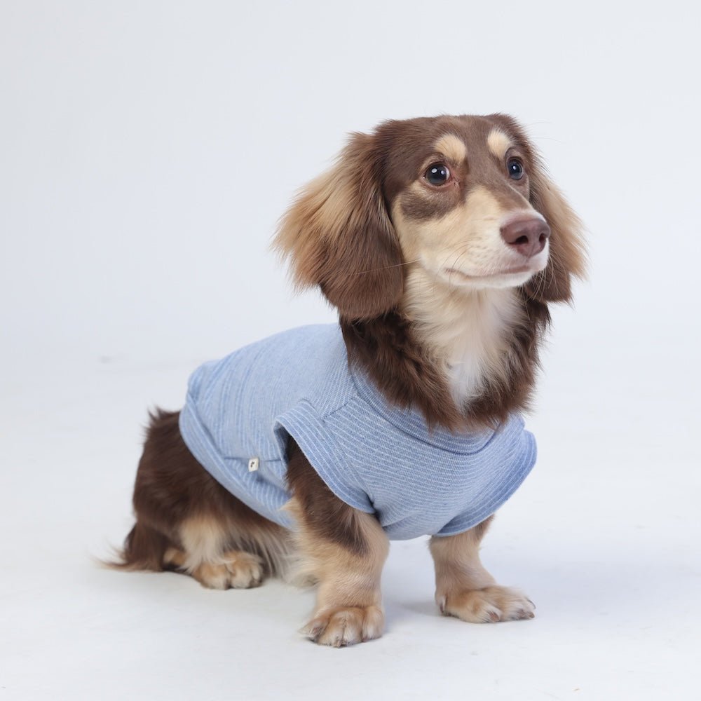 milletpets-dog-cotton-tank-top-vest-baby-blue-front