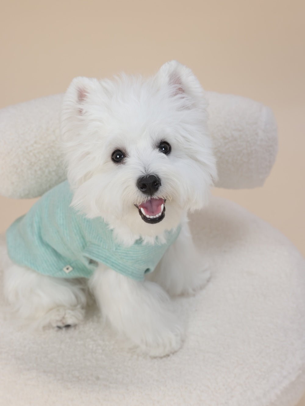 milletpets-dog-cotton-tank-top-vest-baby-green-front