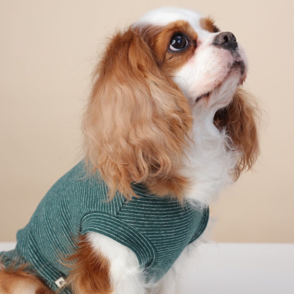 milletpets-dog-cotton-tank-top-vest-green-zoomin
