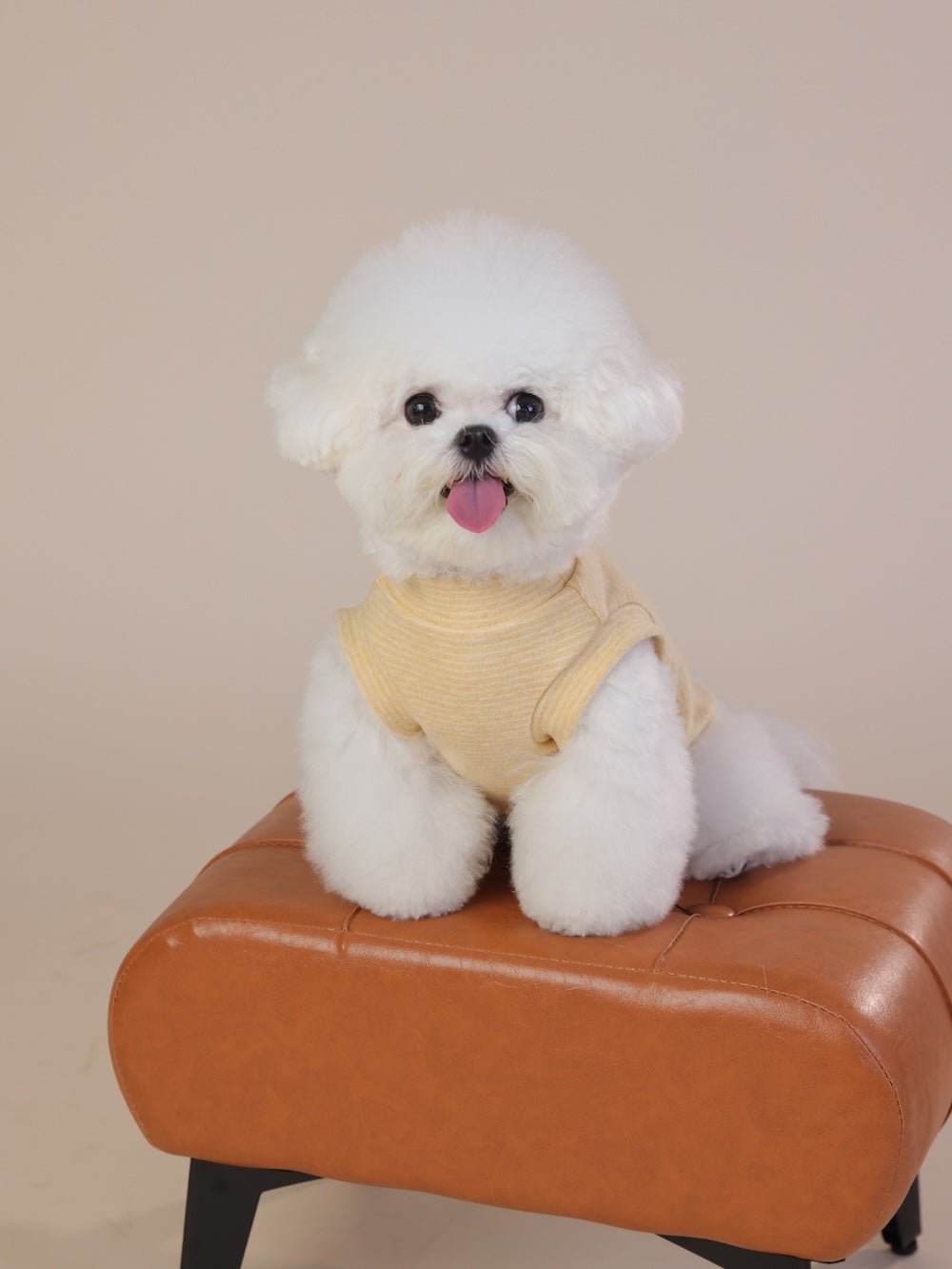 milletpets-dog-cotton-tank-top-vest-millet-yellow-front-2