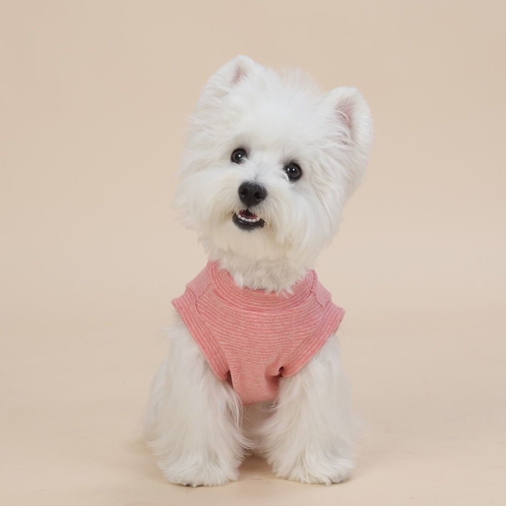milletpets-dog-cotton-tank-top-vest-orange-salmon-front