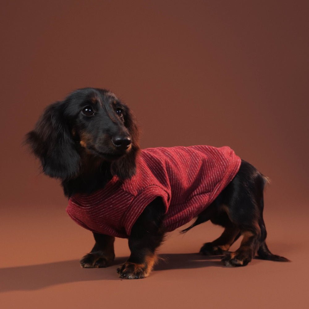 milletpets-dog-cotton-tank-top-vest-red-wine-side-3