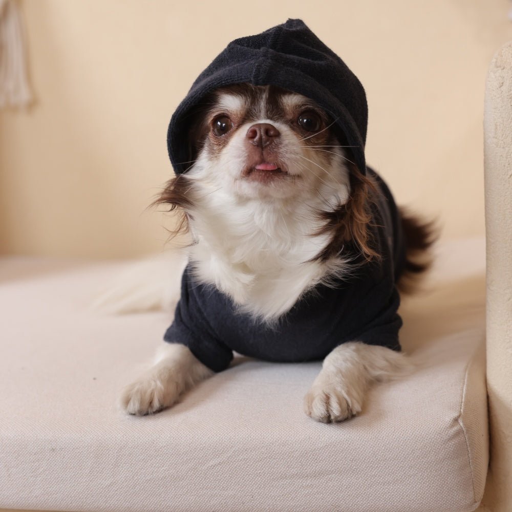 milletpets-dog-cotton-towel-hoodie-navy-blue-hood