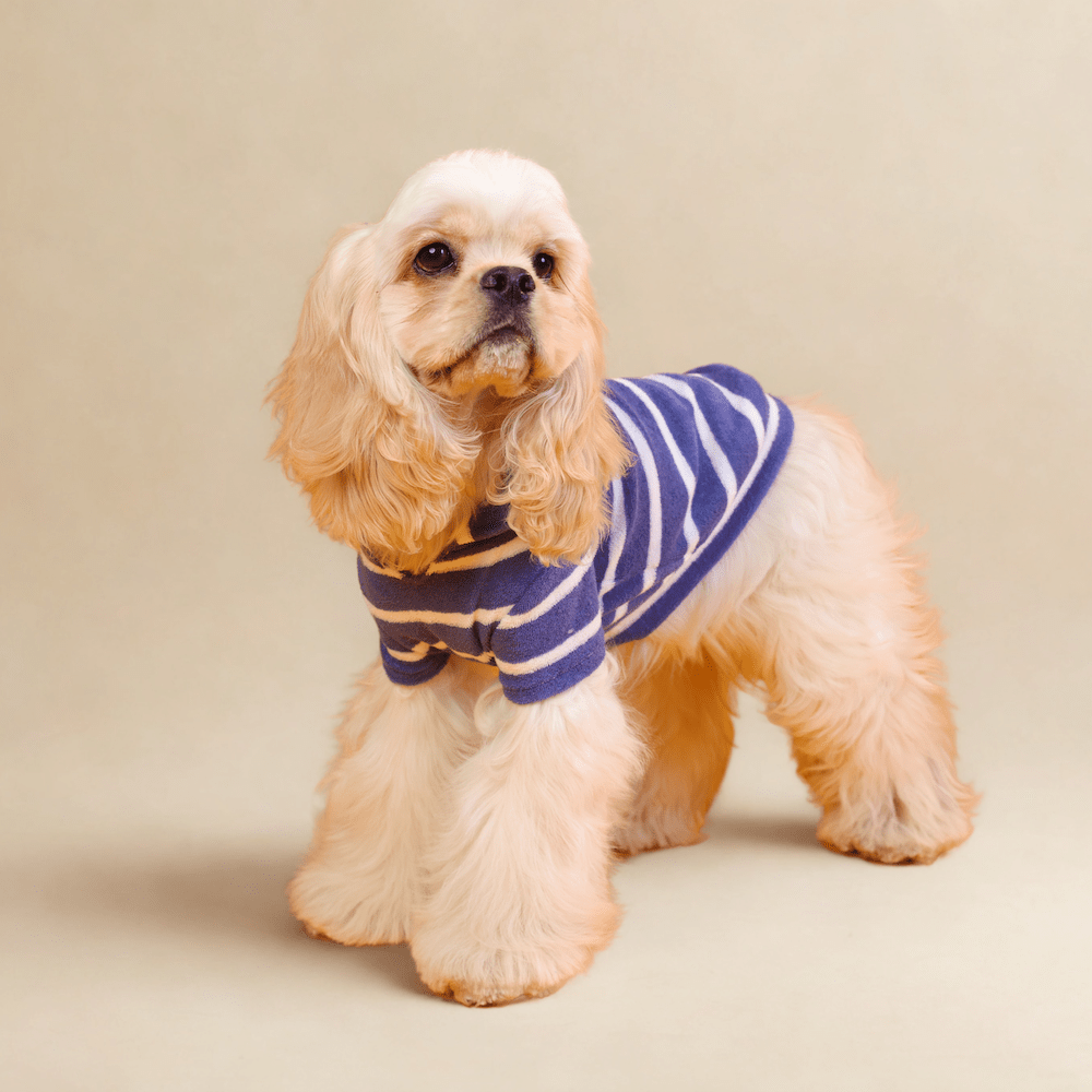 milletpets-dog-cotton-towel-hoodie-navy-blue-stripe-front