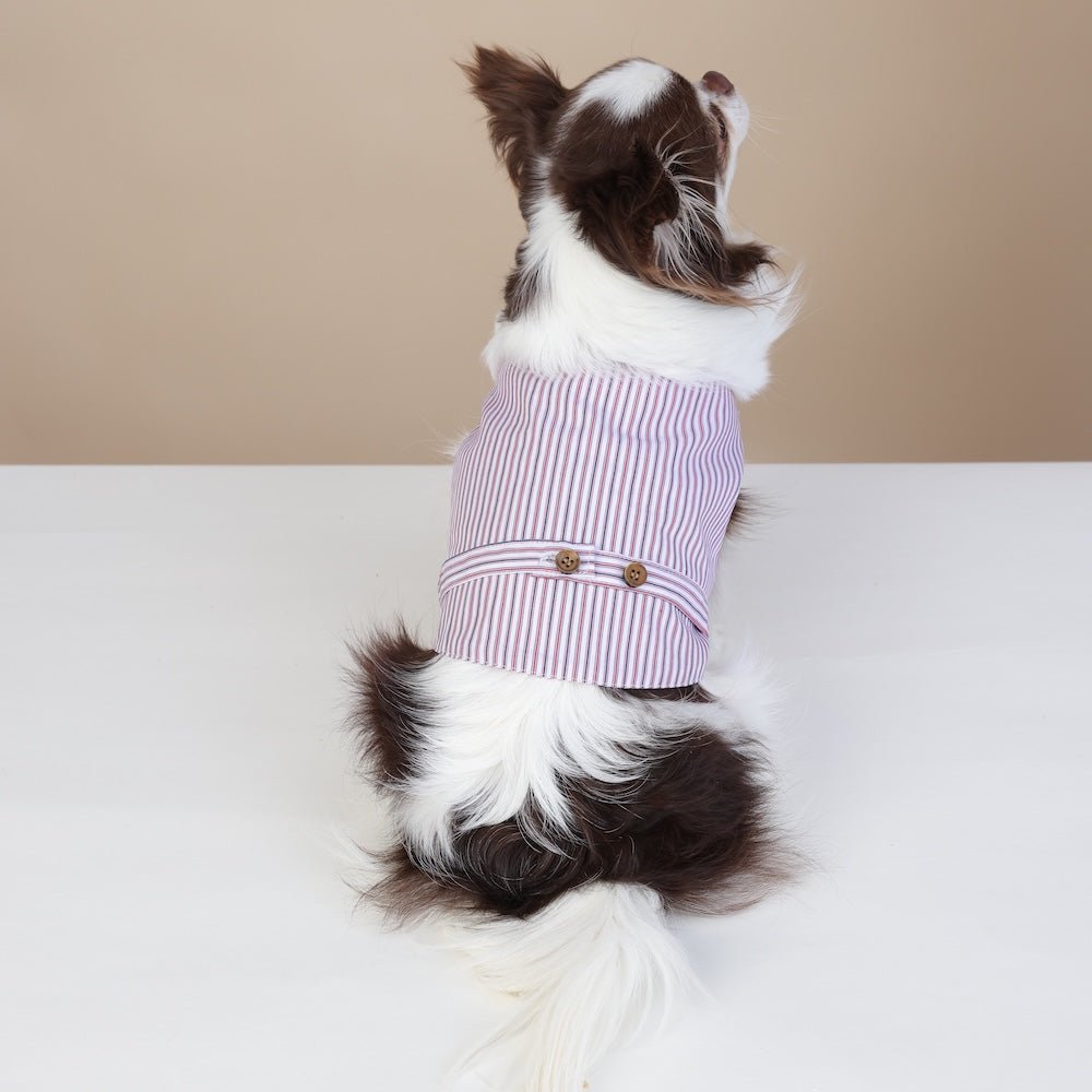 milletpets-dog-mafia-vest-formal-dress-up-back