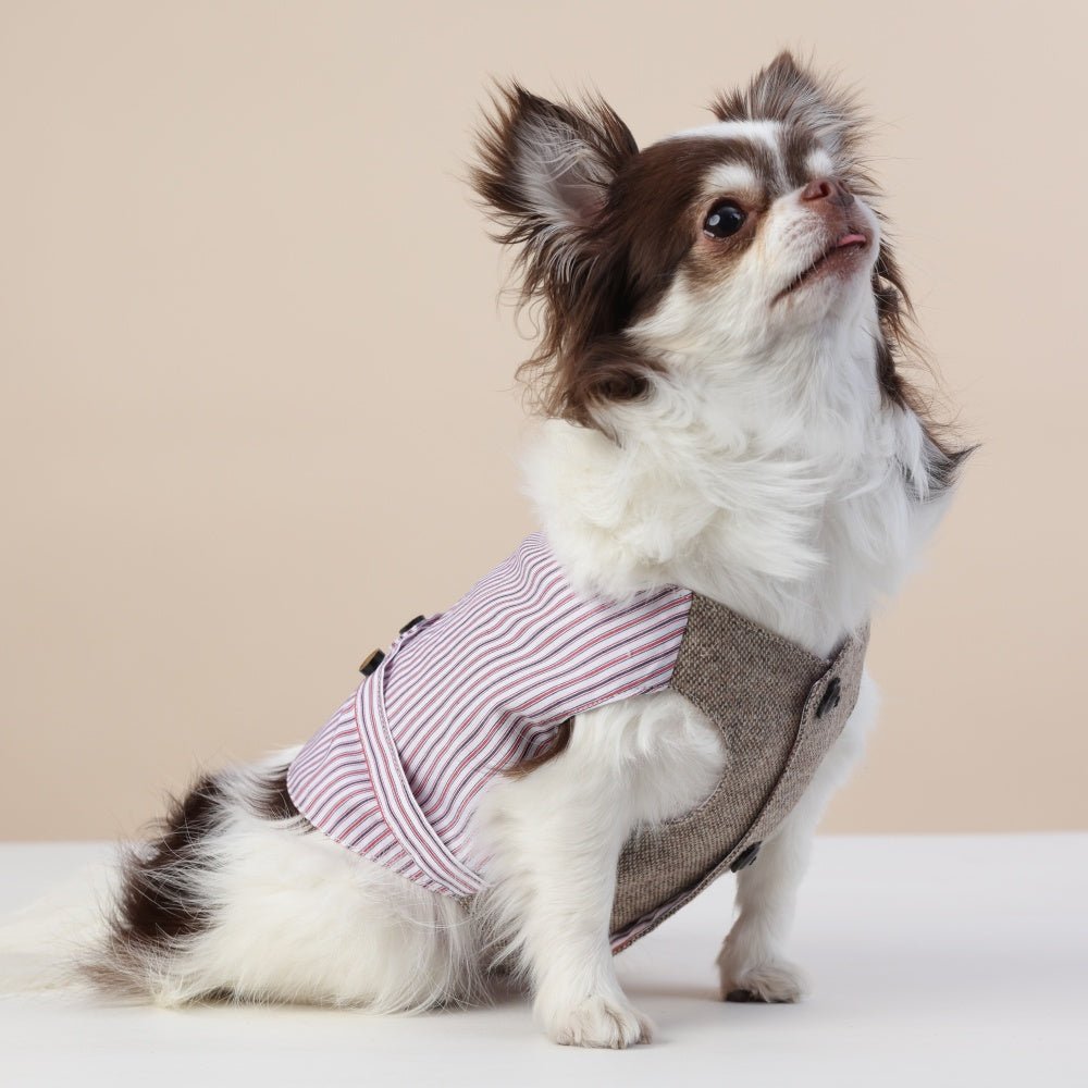 milletpets-dog-mafia-vest-formal-dress-up-side