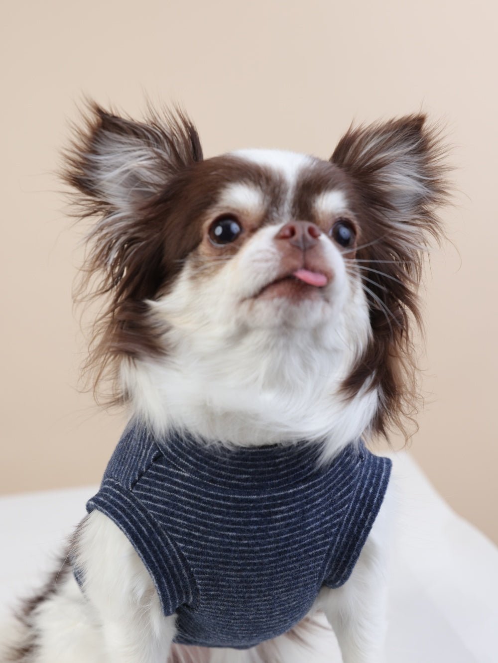 milletpets-dog-tank-top-vest-navy-blue-zoomin
