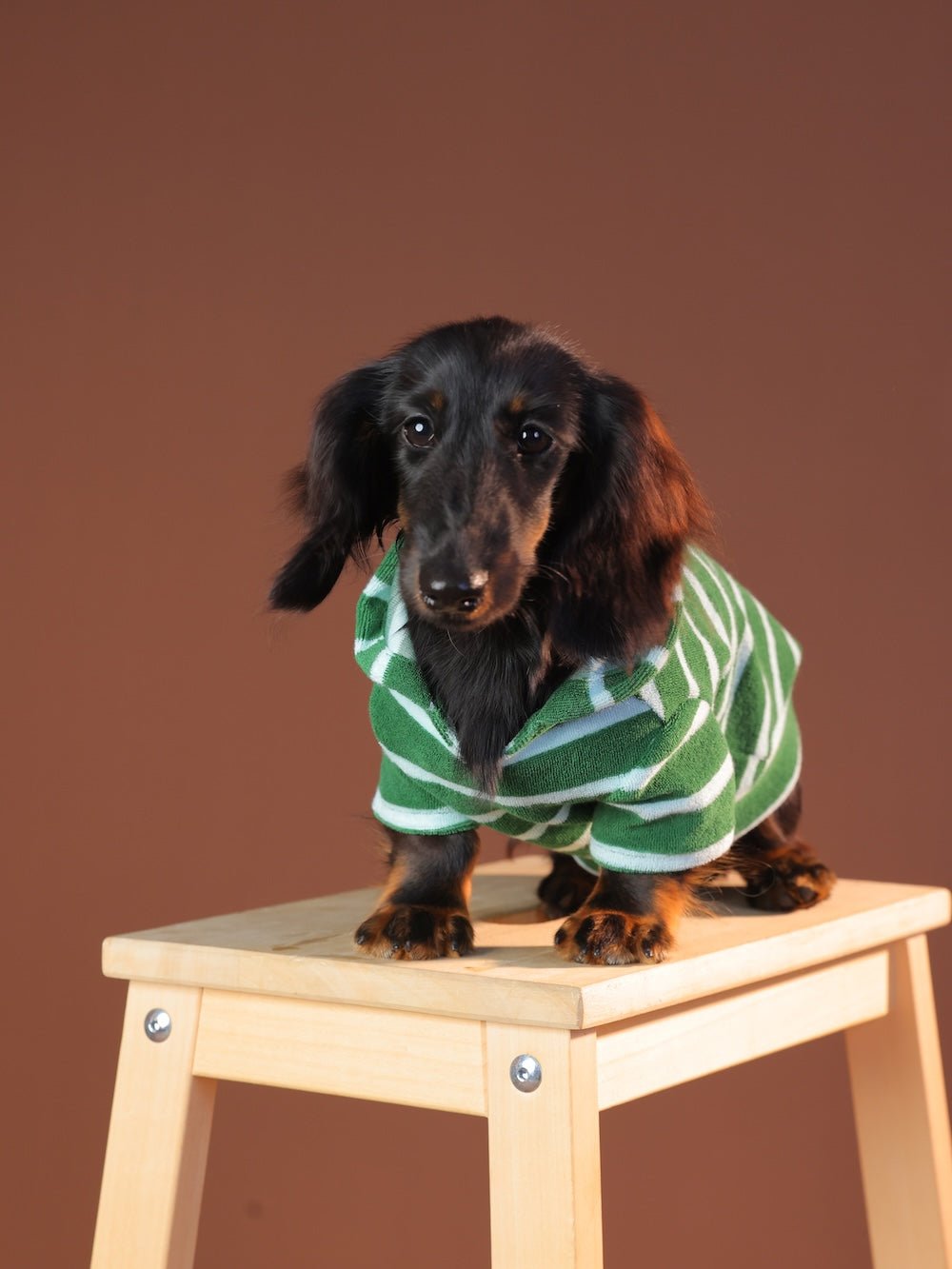 Towel Hoodies: Green Stripe