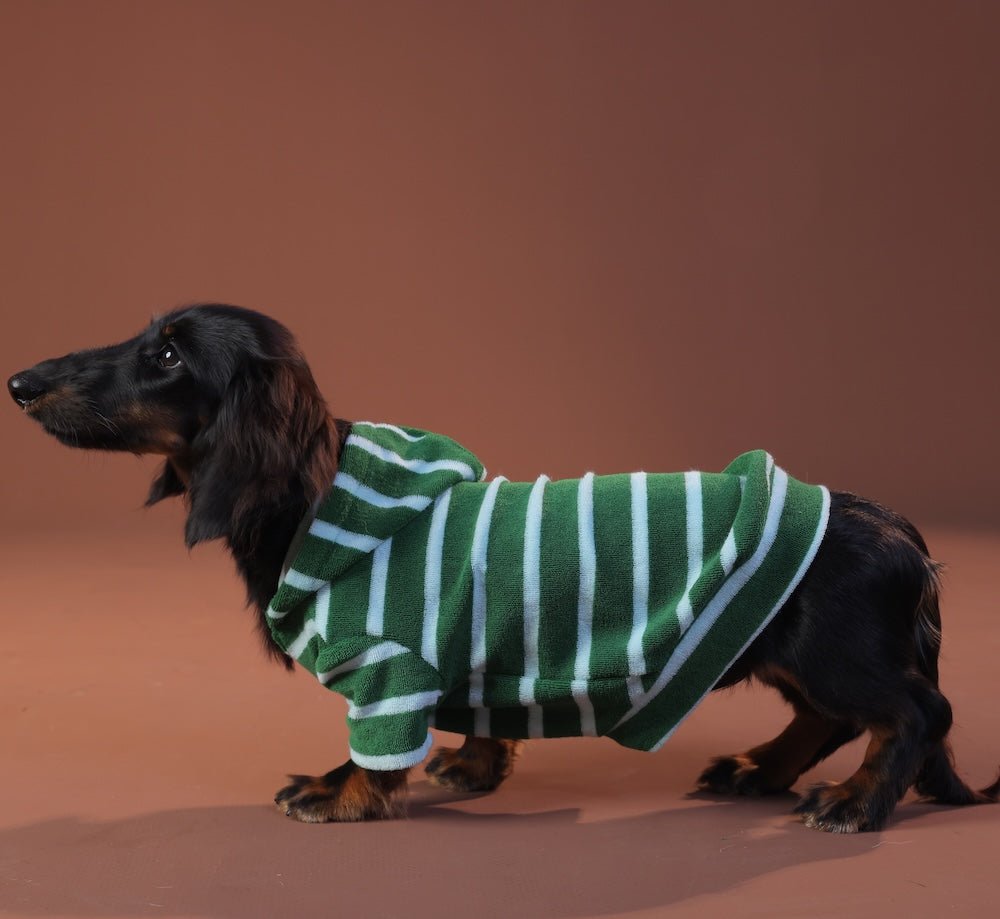 Towel Hoodies: Green Stripe