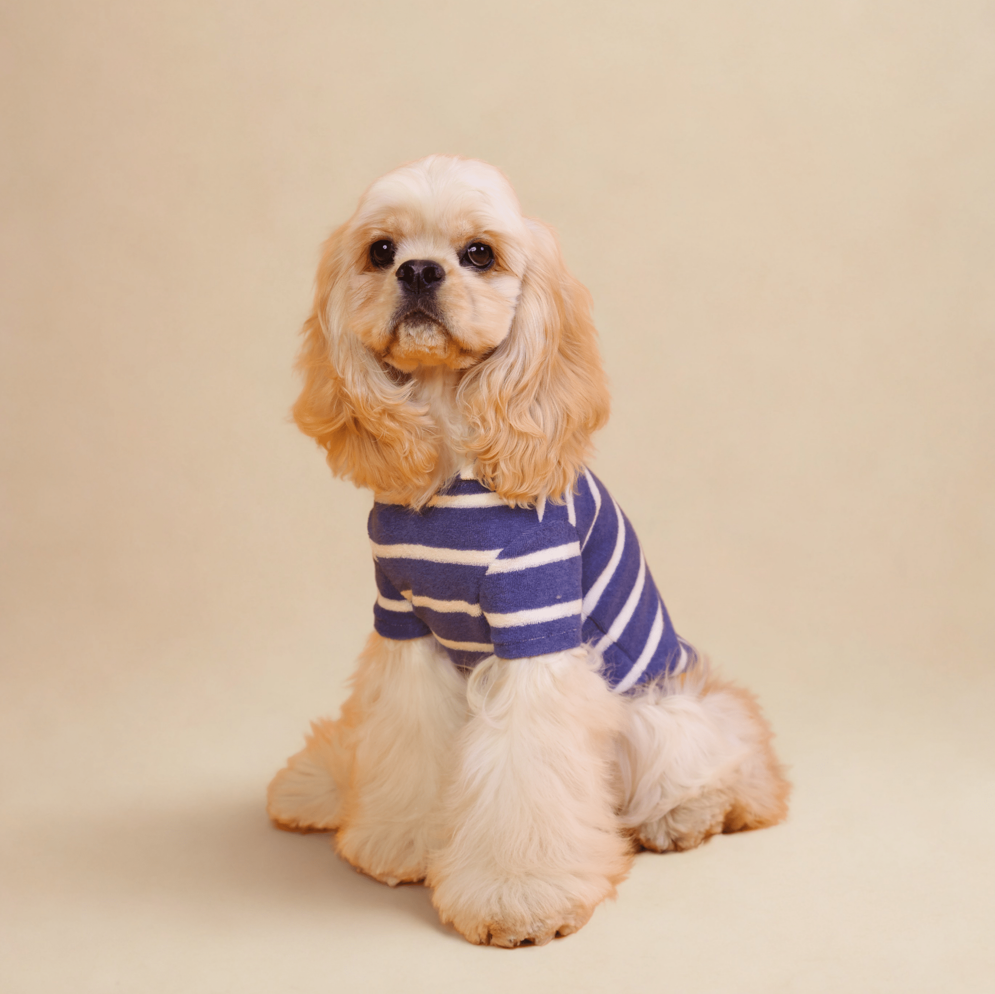Towel Hoodies: Blue Stripe