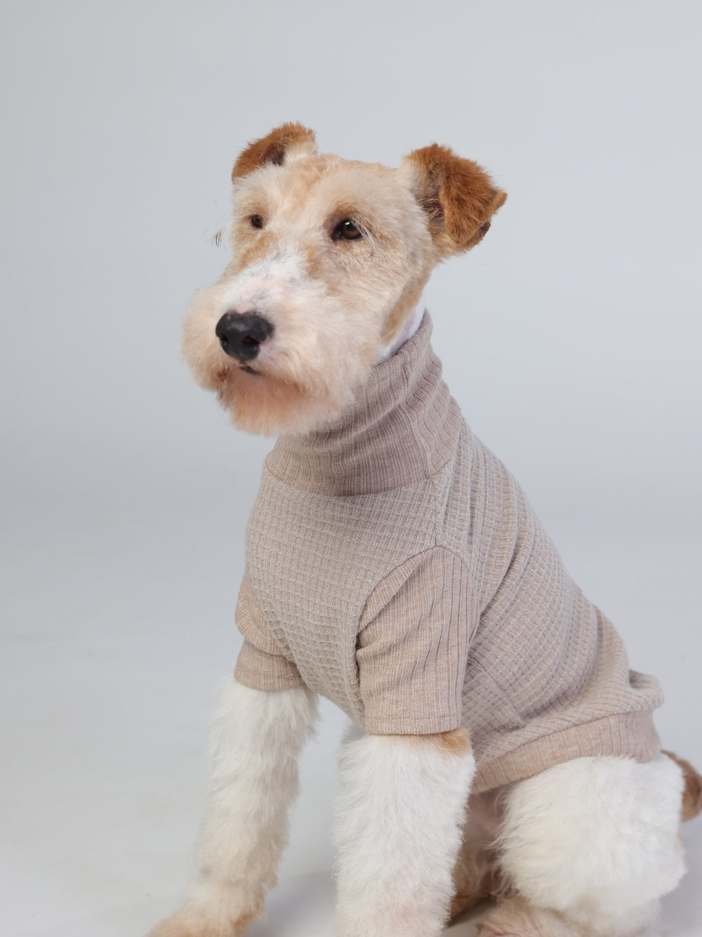 milletpets-dog-cotton-cashmere-turtleneck-sweater-khaki-front-2