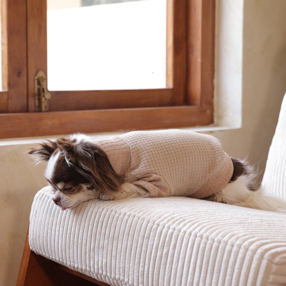 milletpets-dog-cotton-cashmere-turtleneck-sweater-khaki-live-2