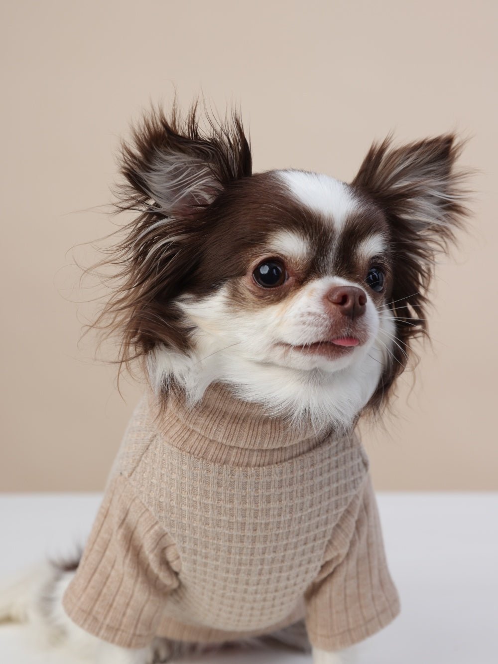 milletpets-dog-cotton-cashmere-turtleneck-sweater-khaki-zoomin-2