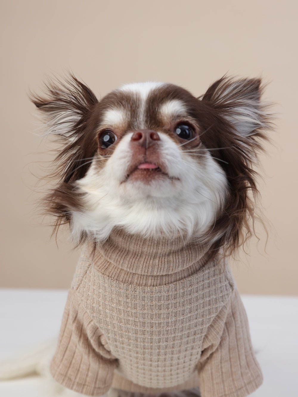 milletpets-dog-cotton-cashmere-turtleneck-sweater-khaki-zoomin-front