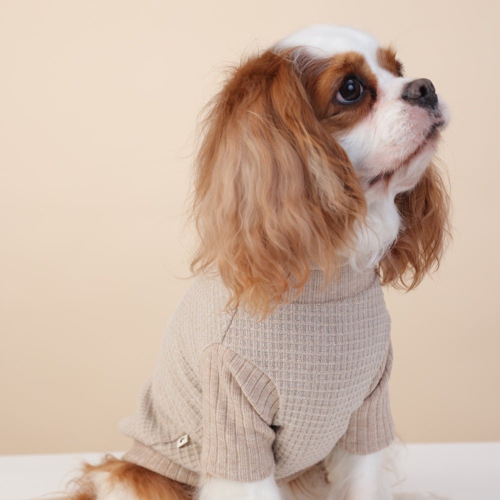milletpets-dog-cotton-cashmere-turtleneck-sweater-khaki-zoomin