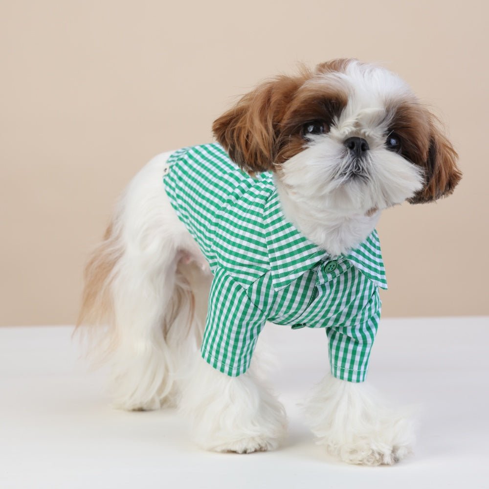 milletpets-dog-cotton-shirt-green-checkered-front-2