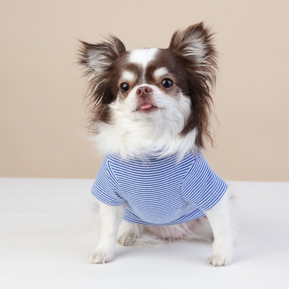 milletpets-dog-cotton-short-sleeves-blue-front
