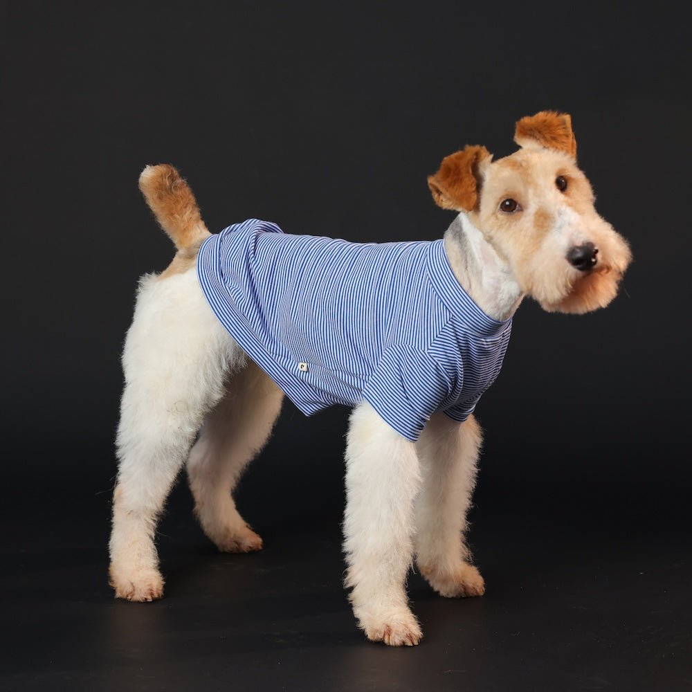 milletpets-dog-cotton-short-sleeves-blue-side-2