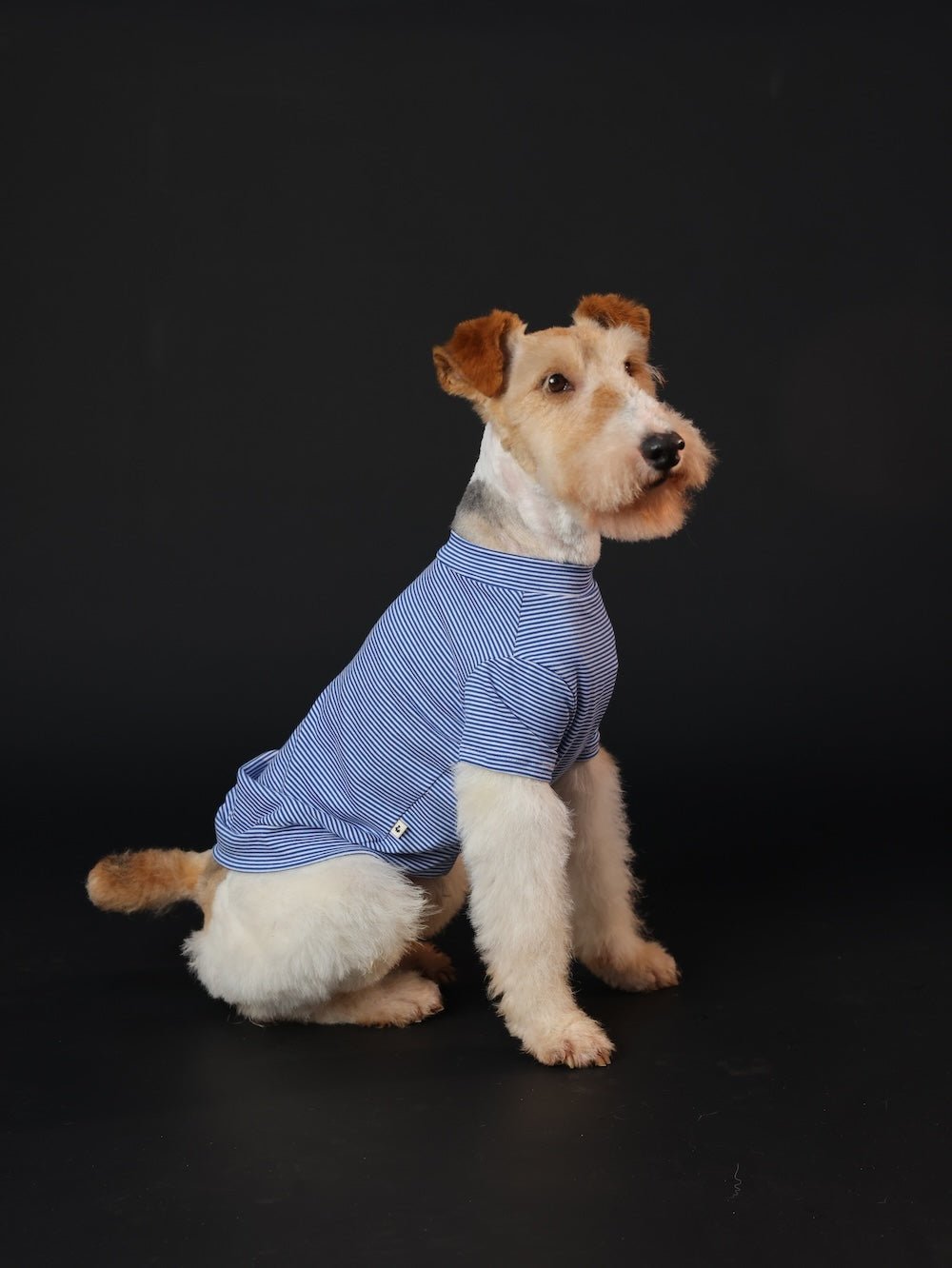 milletpets-dog-cotton-short-sleeves-blue-side-3