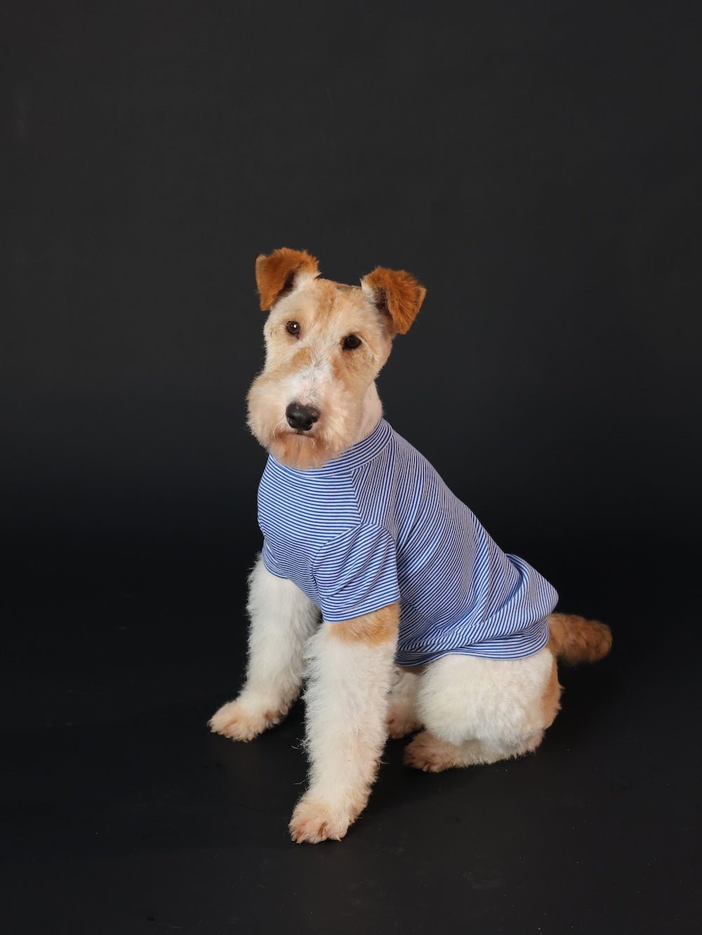 milletpets-dog-cotton-short-sleeves-blue-side-4