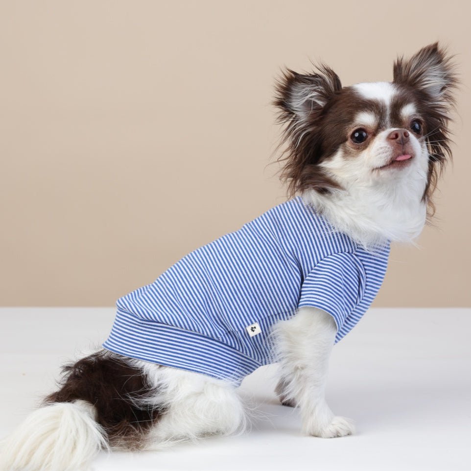 milletpets-dog-cotton-short-sleeves-blue-side