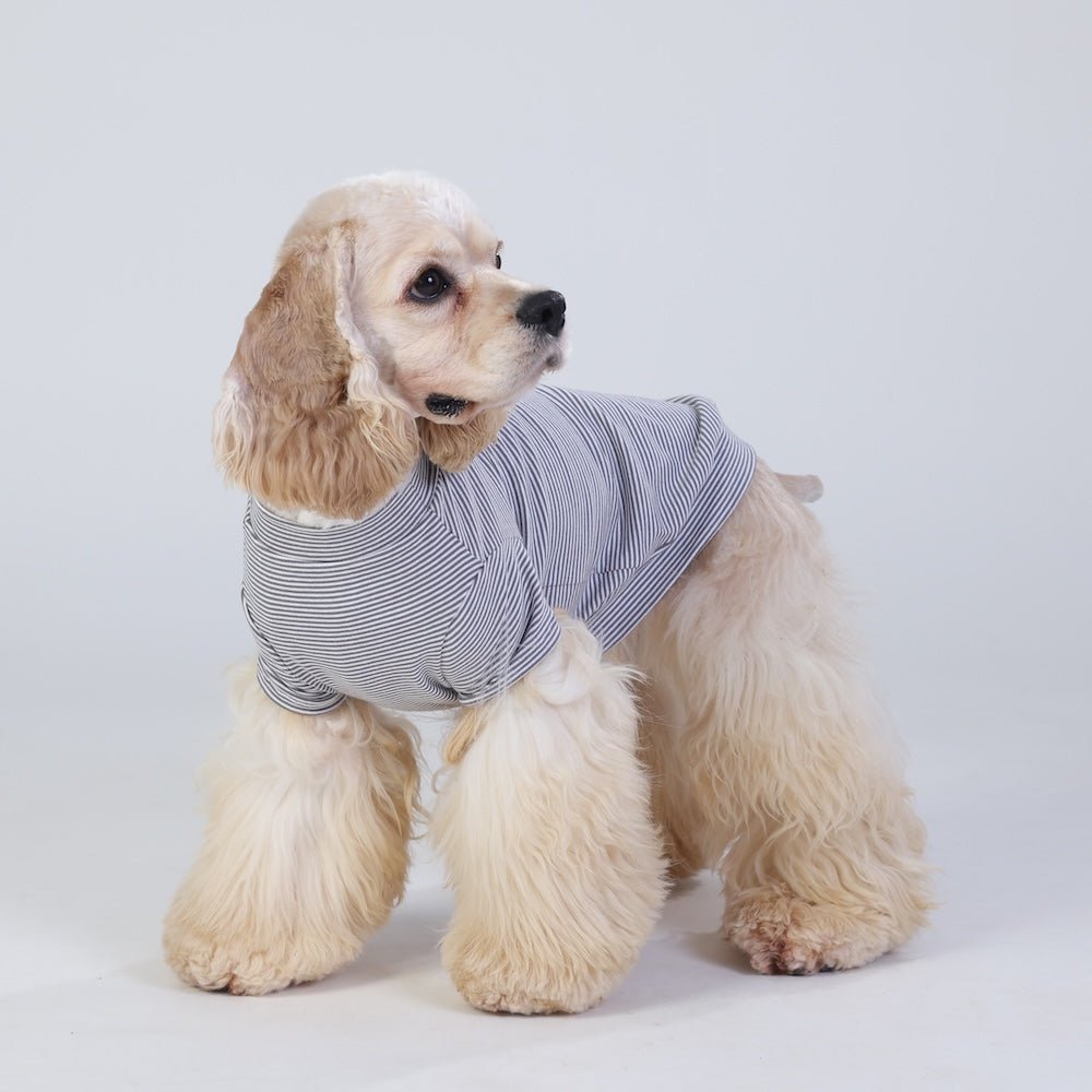 milletpets-dog-cotton-short-sleeves-grey-side
