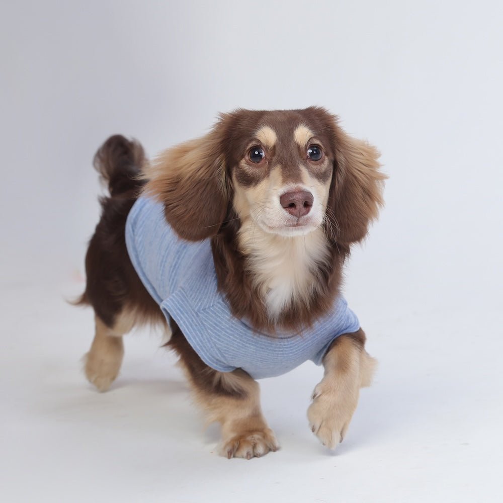 milletpets-dog-cotton-tank-top-vest-baby-blue-front-3