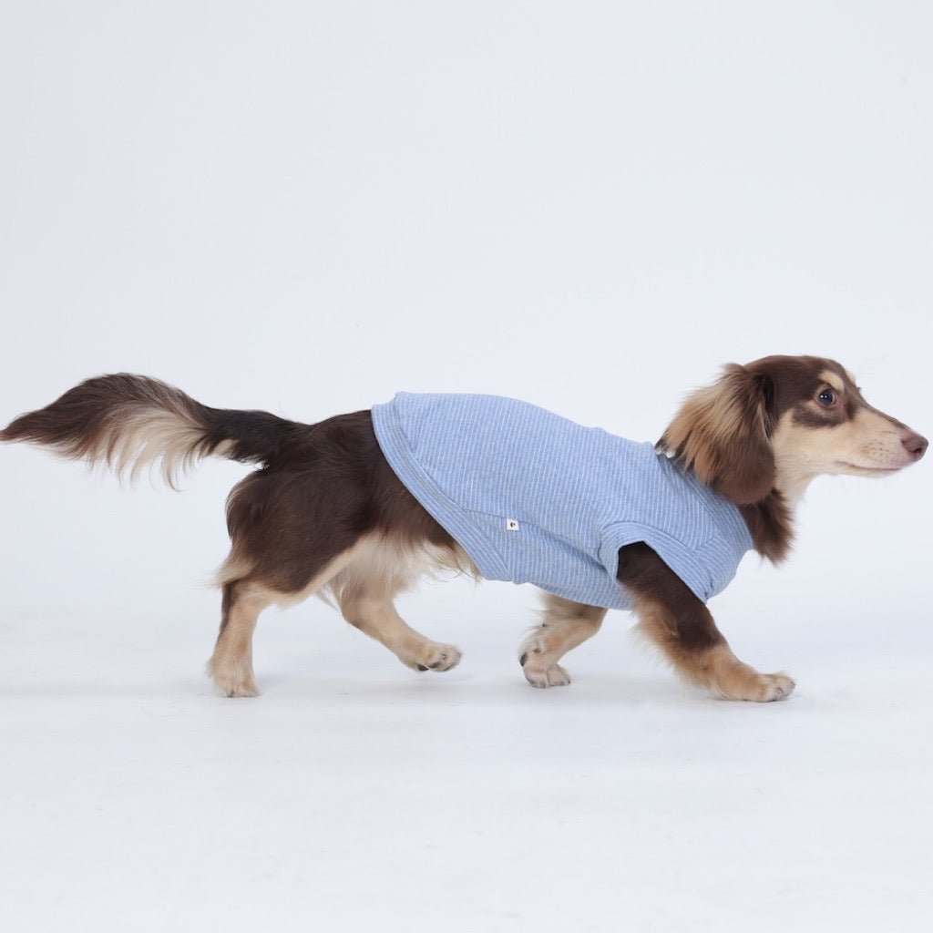 milletpets-dog-cotton-tank-top-vest-baby-blue-side