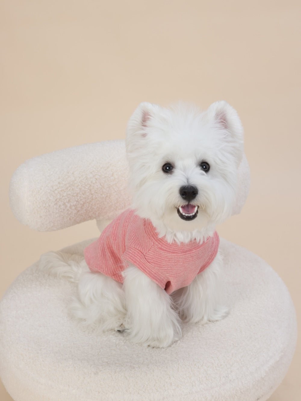 milletpets-dog-cotton-tank-top-vest-orange-salmon-front-2