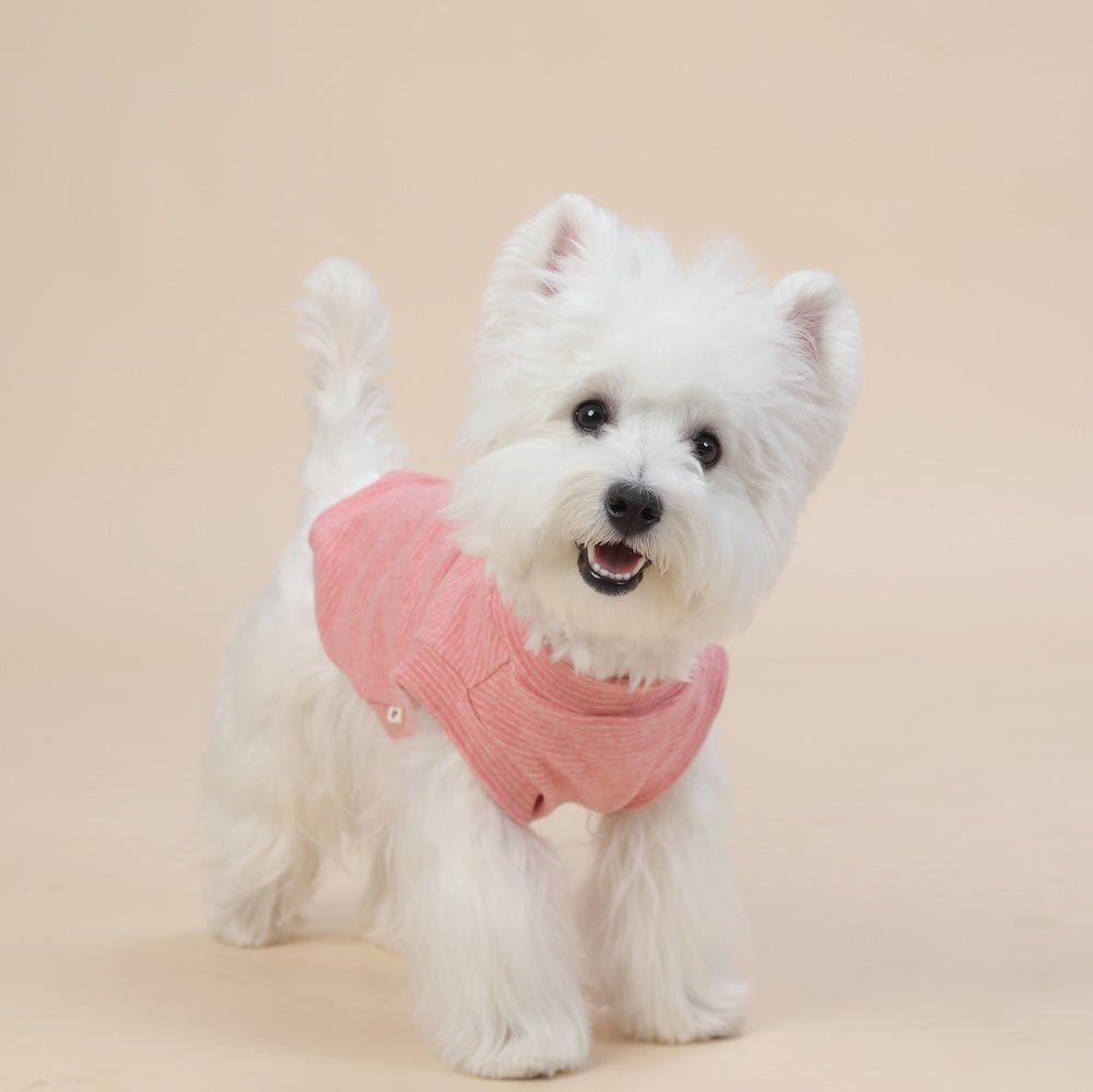milletpets-dog-cotton-tank-top-vest-orange-salmon-side-2