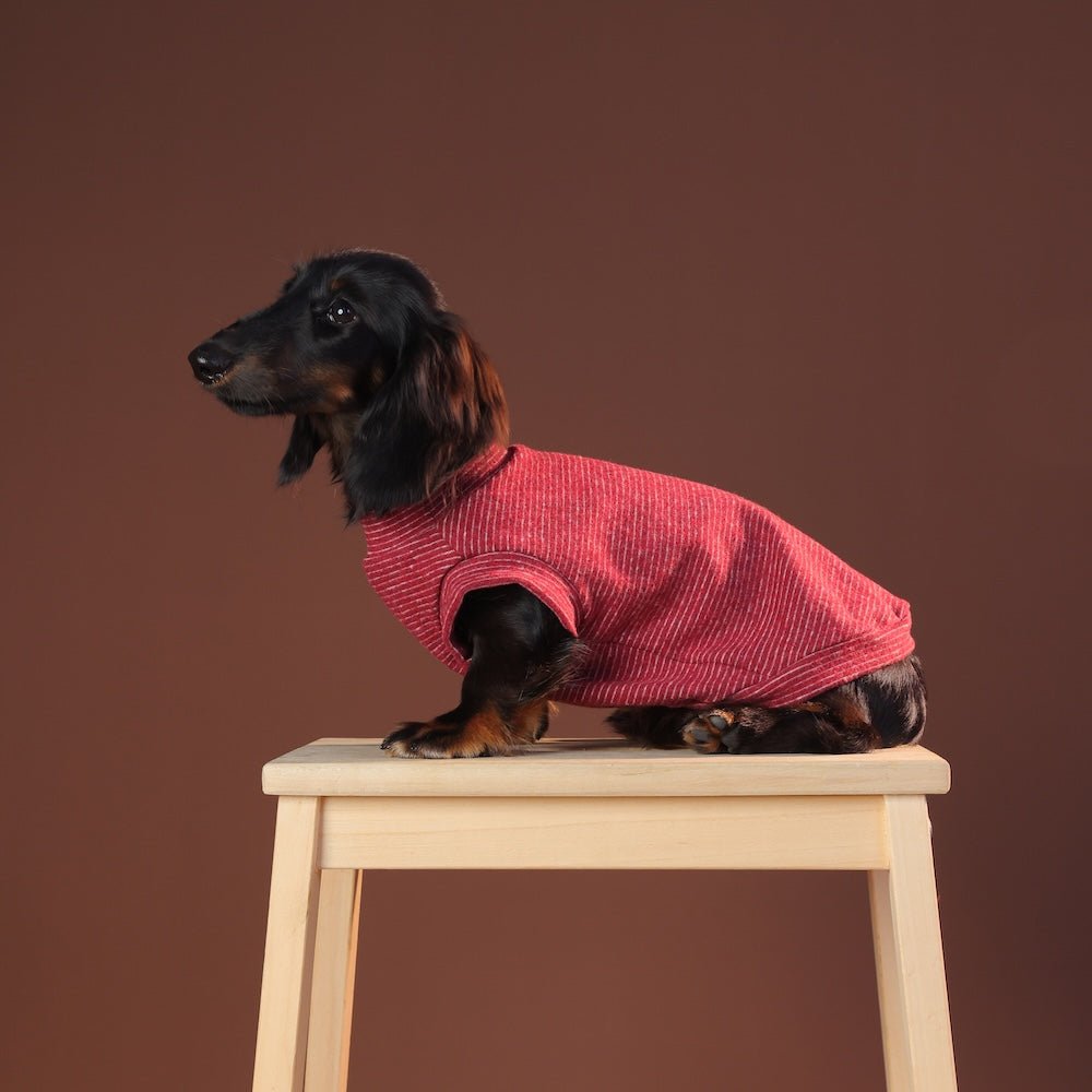 milletpets-dog-cotton-tank-top-vest-red-wine-style-2