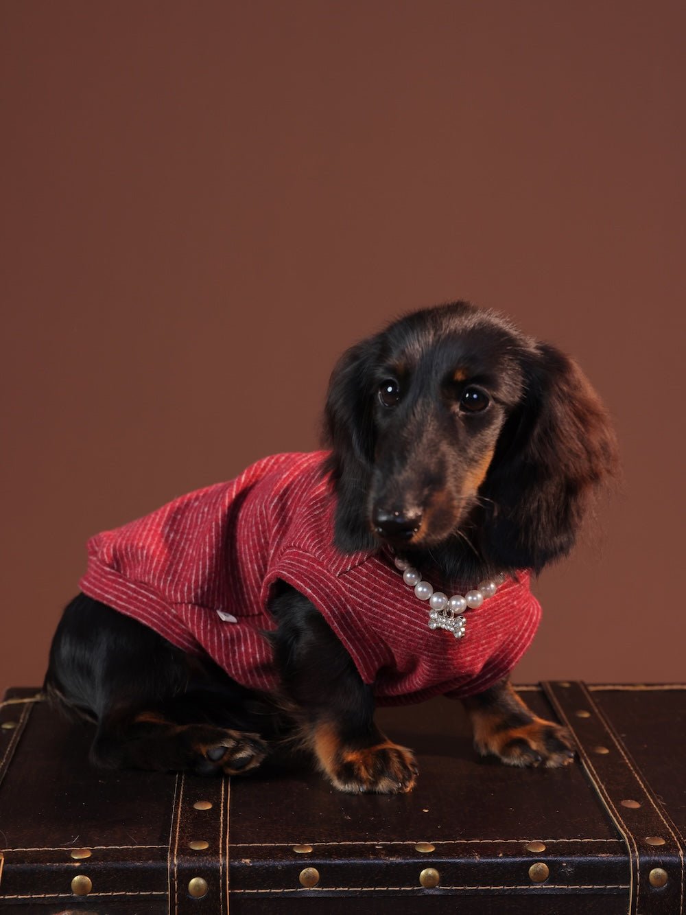 milletpets-dog-cotton-tank-top-vest-red-wine-style