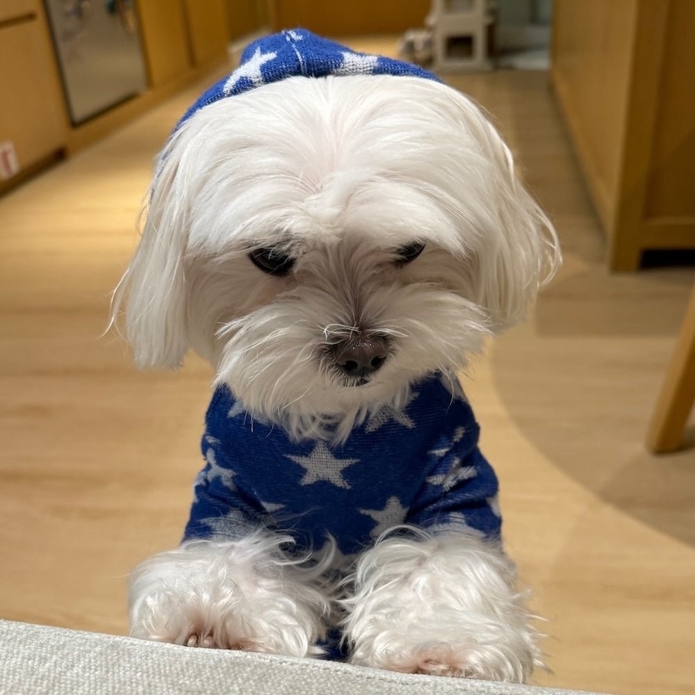 milletpets-dog-cotton-towel-hoodie-all-star-live