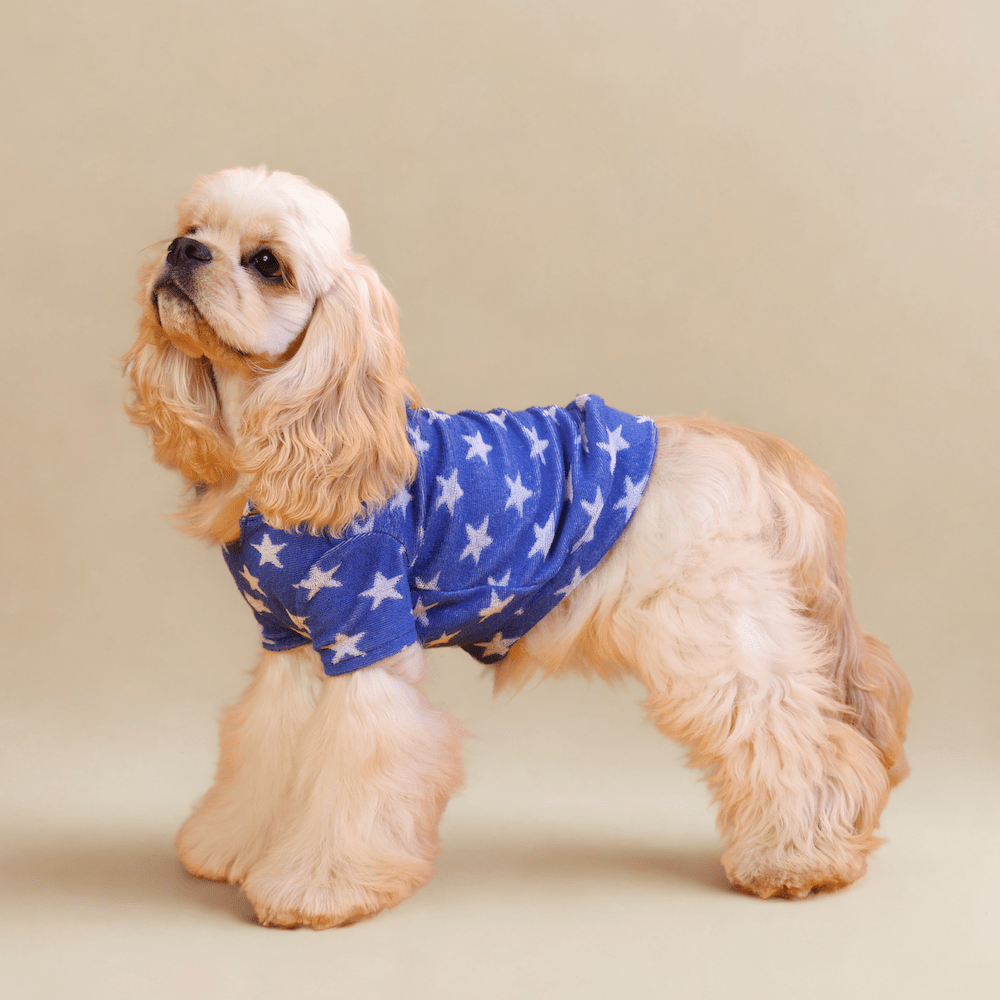 milletpets-dog-cotton-towel-hoodie-all-star-side-2
