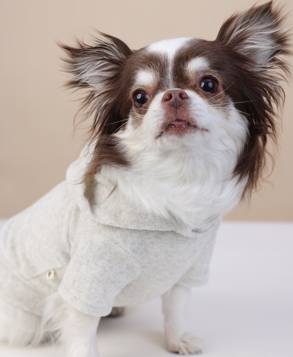 milletpets-dog-cotton-towel-hoodie-grey-zoomin